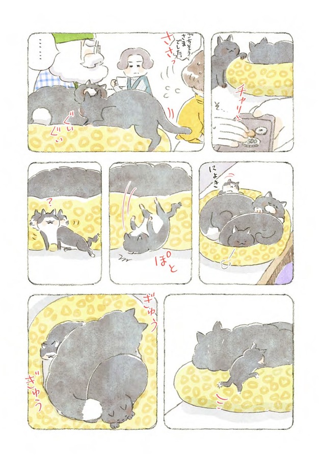 深夜3時のくろねこ喫茶