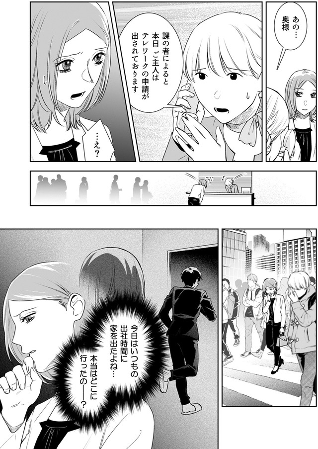 その代用品は復讐する～妻を騙した夫の誤算～