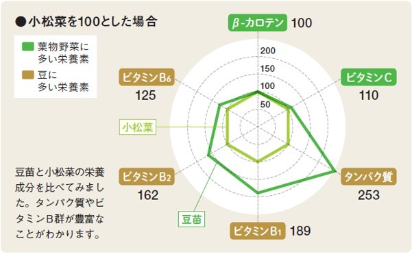 豆苗と小松菜の栄養成分比較